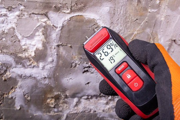 Best Post-Flood Mold Remediation in Bay Village, OH